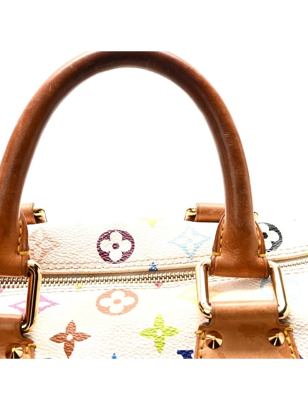 Louis Vuitton Multicolor Speedy 30 #304973L14B - Picture 10 of 11